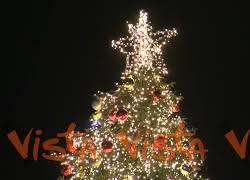 Natale 2025, il momento dell'accensione dell'albero a Piazza del Popolo