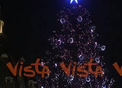 Ecco l'albero di Natale del Vaticano a Piazza San Pietro
