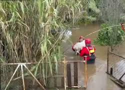 Maltempo nel Cagliaritano, il salvataggio di nove cani dall'esondazione del Rio Piscinas