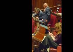 "Fratelli di Trump" e "L'Italia non si Usa", la protesta di Avs con i cartelli di Avs alla Camera