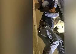 Cane incastrato sotto un'auto, il salvataggio della Polizia a Pescara