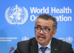 Oms: "Vaiolo delle scimmie è emergenza sanitaria globale". Ma i decessi sono solo 5, tutti in Africa
