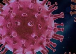 Coronavirus, in Italia numeri in crescita: più 4.492 positivi e 662 decessi