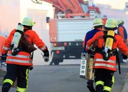 Roma: incendio in un appartamento un uomo muore insieme ai suoi animali domestici