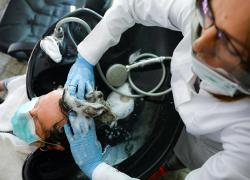 Siccità, sindaco di Castenaso (BO): ai parrucchieri vietato il secondo lavaggio di capelli. Multe fino a 500 euro