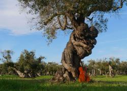 Il Salento ospita la Residenza Artistica SIAE, promossa dall'associazione Opera Prima