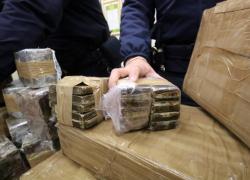 Firenze, traffico di hashish e marijuana: 10 arresti e 700 kg di droga sequestrati, coinvolto anche un commercialista