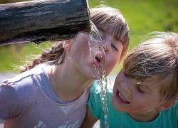 Meteo, allerta caldo: oggi 'bollino rosso' in 14 città, picchi di 45°C