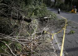 Maltempo, morto runner a Varese: travolto da un torrente
