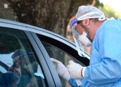 Covid, l'epidemiologo Greco: "Quarantena asintomatici causa disastri economici"