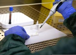 Coronavirus vaccino, Fauci: 'A dicembre possibili prime dosi negli Usa'