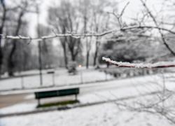 Previsioni meteo: neve in pianura. Roma imbiancata nelle prossime ore