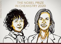 Nobel Chimica 2020: vincitrici le due donne del taglia-incolla il Dna