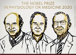 Premio Nobel Medicina 2020 agli scopritori del virus dell’epatite C. ECCO I VINCITORI
