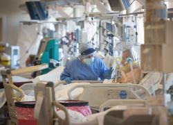 Coronavirus, Bassetti: 'Decessi contati in modo sbagliato, anche chi aveva infarto con tampone positivo era registrato come morto per Covid'