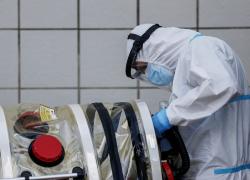 Covid-19: scoperti anticorpi anche in chi non ha mai contratto il virus