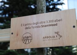 Snam: primo albero di una foresta di oltre 3mila piante dedicata alle sue persone