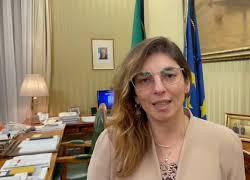 Dl sostegno, Castelli: "Aiuti alle imprese in arrivo la prossima settimana"