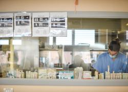Covid piano pandemico, nuova bozza: "Valutare le cure caso per caso"