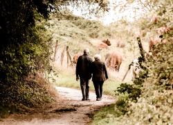 Oms, longevità in crescita: dal 2020 al 2019 guadagnati 6 anni vita