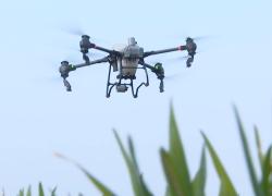 Cina: Henan, droni multispettrali assistono l'agricoltura primaverile