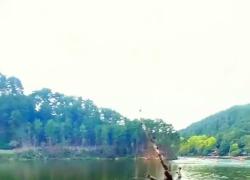 Cina: scimmie su monte Qianling appassionate di immersione