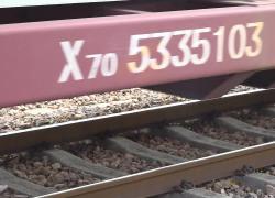 Trasporti: treno merci Cina-Europa porta prodotti per prossima CIIE
Edizione CIIE del servizio ha trasportato oggetti da 16 mln euro attraverso Eurasia