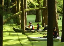 Cina: Zhejiang, punto panoramico del lago Qingshan (1)