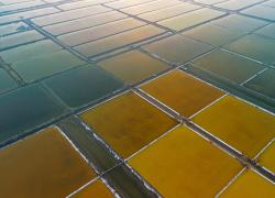 Cina: foto aerea delle saline di Yingkou