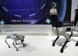 Cina: sesta CIIE espone prodotti, tecnologie, servizi high-tech