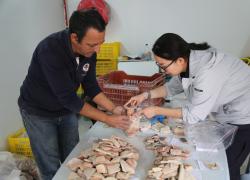 Cina-Tunisia: conducono scavi archeologici congiunti (2)