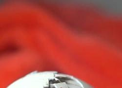 Cina: si schiude un uovo di pulcino di pinguino