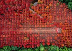 Cina: paesaggio invernale (2)