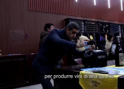 Cina: Ningxia, sviluppo settore vinicolo affascina stranieri in visita
Dopo 40 anni di sviluppo, regione emerge come maggior produttrice vinicola del Paese