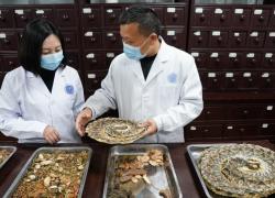Cina: istituto per i morsi di serpente di Qimen