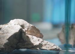 Cina: ospiti stranieri visitano porto millenario lungo Via della seta marittima