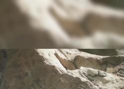 Cina: pitture rupestri ultra-millenarie nel Ningxia
Su monte Helan, popolazione di 3.000-10.000 anni fa realizzò antiche pitture