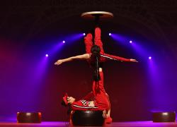 Acrobati cinesi si esibiscono al Cirque Phoenix a Parigi (2)