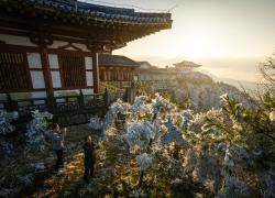 Cina: panorama innevato a Suizhou (2)