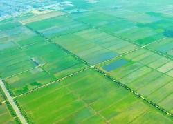 Cina: riforma spinge aree rurali sulla strada della modernizzazione