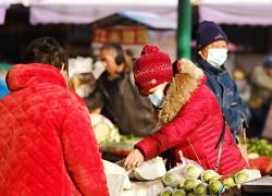 Cina: ondate di freddo, Paese assicura fornitura ortaggi, prezzi stabili