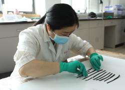 Cina: Hubei, scoperta più antica formula sintetica di moltiplicazione