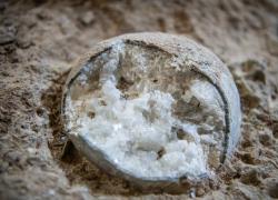 Cina: Hubei, scoperti fossili cristallizzati ben conservati di uova dinosauro