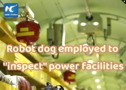 Cina: cane robot "ispeziona" strutture energetiche a Pechino