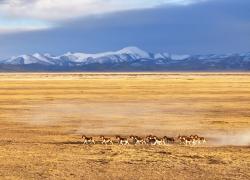 Cina: panorama della Riserva naturale nazionale dei monti Altun (3)