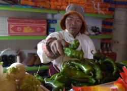 Cina: Xizang, frutta e verdura fresche consegnate a villaggi remoti 