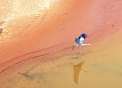 Cina: bellezza invernale del panorama di zone umide del fiume Giallo