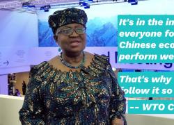 Cina: direttrice OMC, Paese &egrave; forte sostenitore del multilateralismo