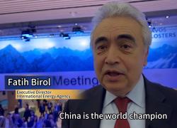 Cina: direttore AIE considera Paese campione mondiale di energia verde