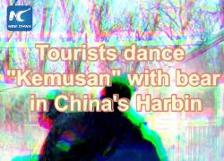 Cina: turisti ballano il "Kemusan" con un orso ad Harbin